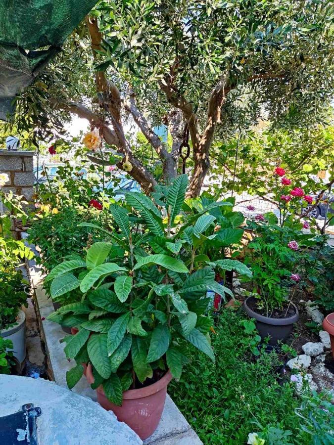 Petroula Apartments Emborios Dış mekan fotoğraf